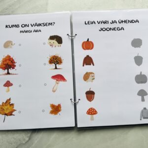 tegelusraamat 4 aastasele